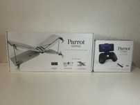 Drone Parrot Swing