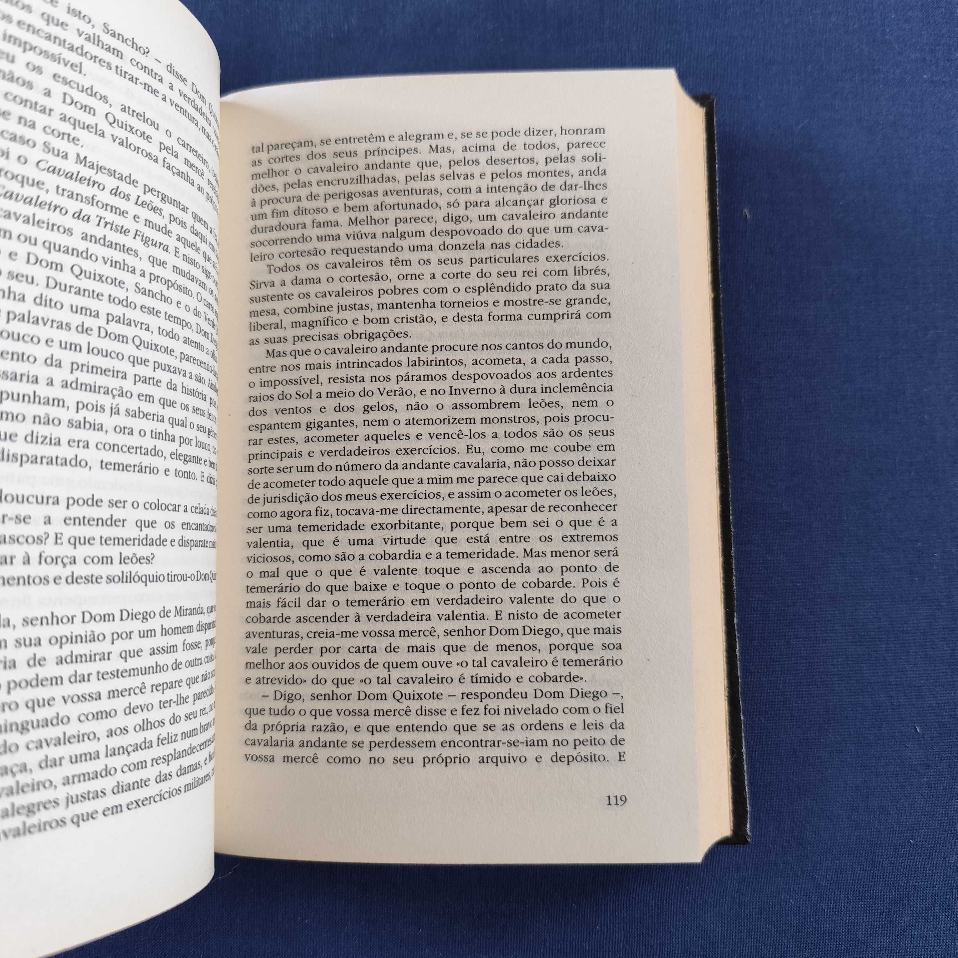 Miguel Cervantes - D. Quixote de La Mancha (2 volumes)