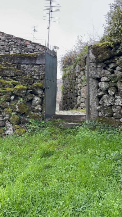 Terreno 5 mil m2 - Algodres