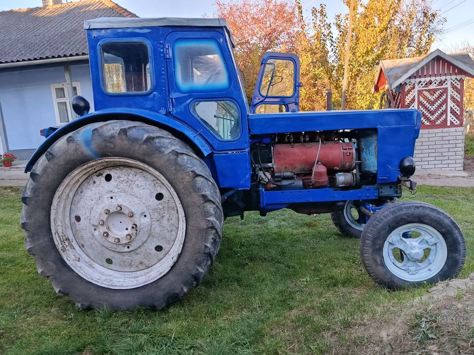 Продам робочого коника