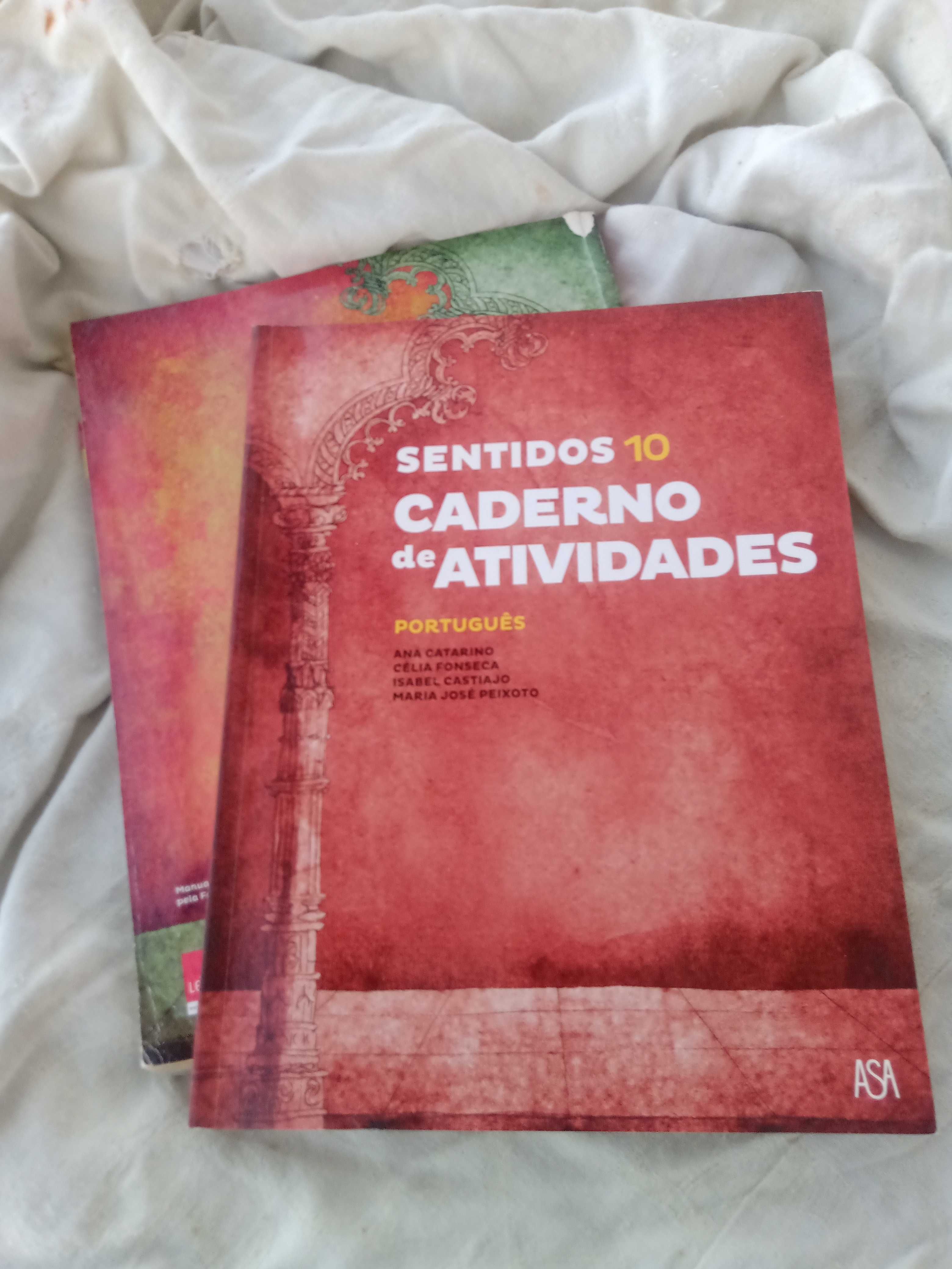 Livros português 10⁰ sentidos