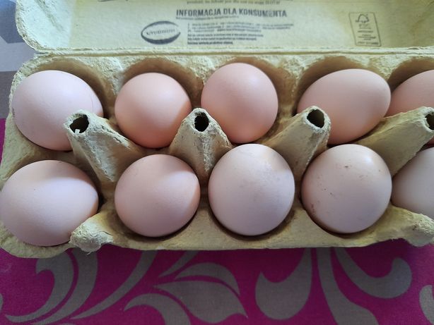 Świeże jajka od szczęśliwych kur
