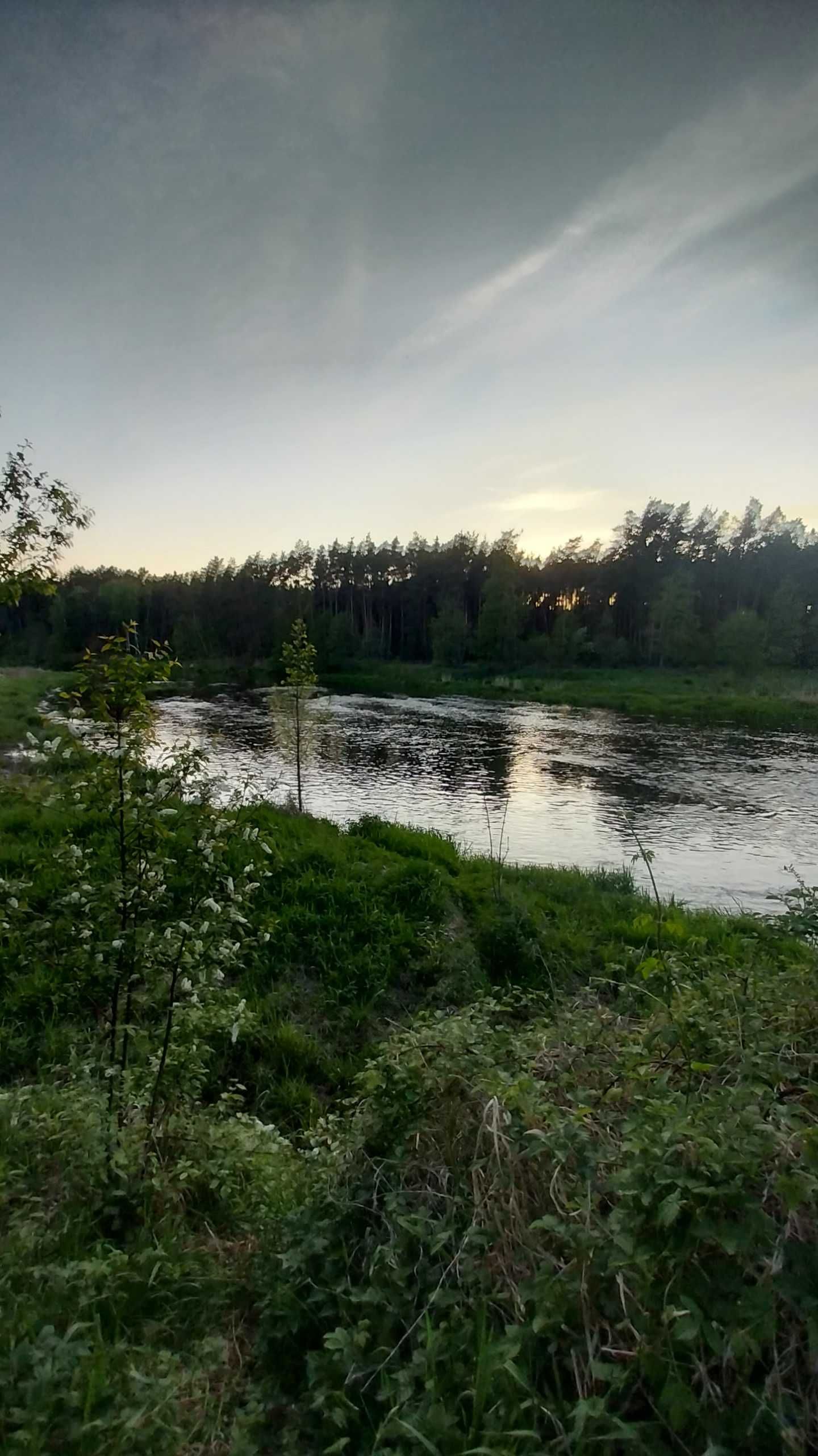 Działka nad rzeką Wartą w dolinie