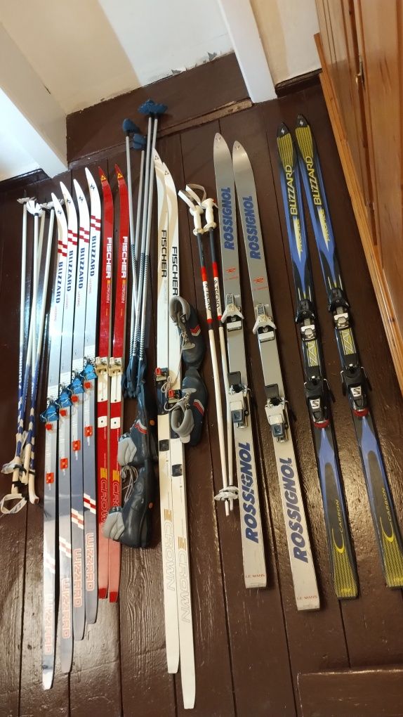 Narty biegowe Blizzard Wizard i Fischer Crown oraz salomon