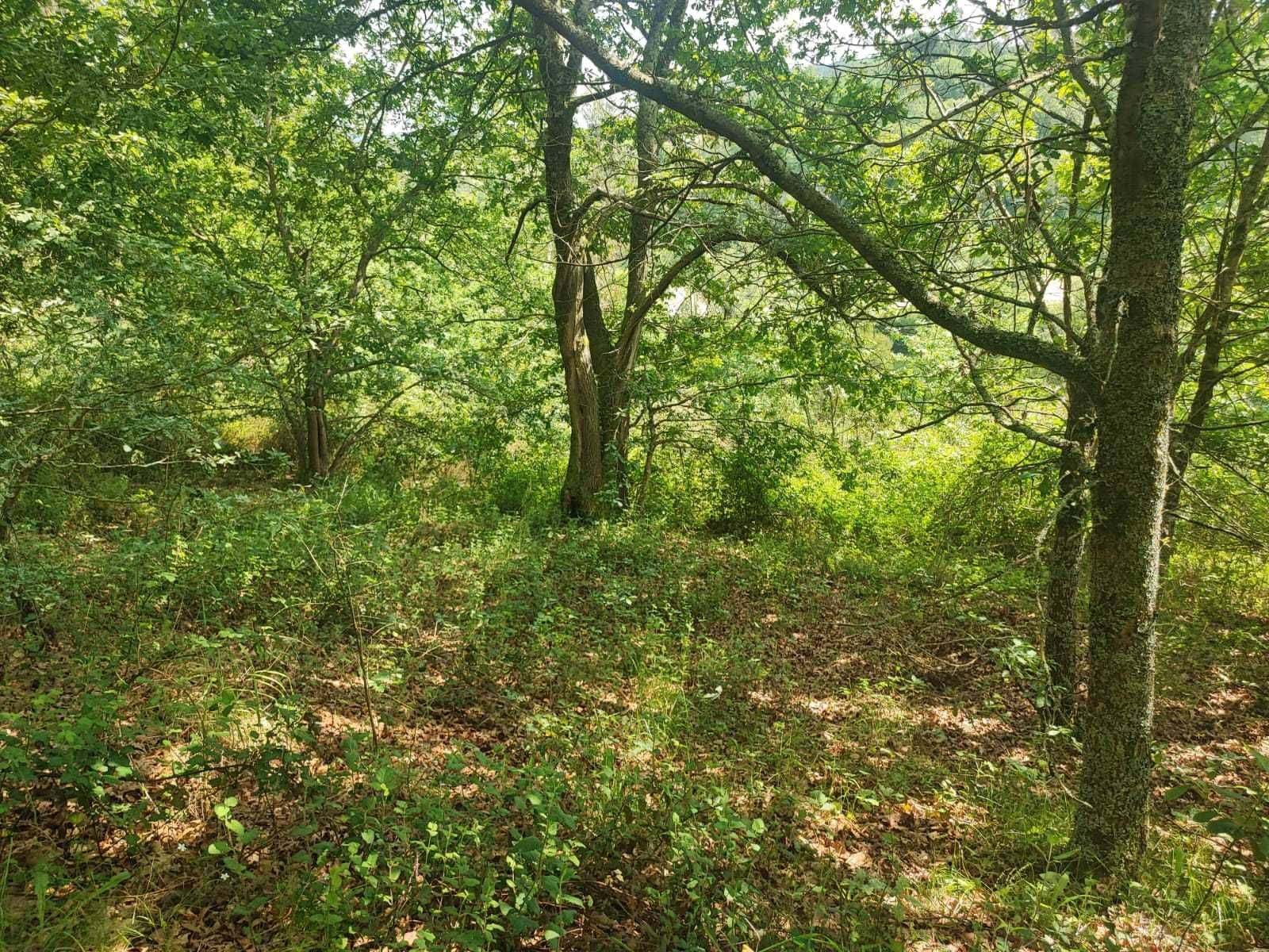 terreno em Milhundos, na União das Freguesias de Souto e Tabaçô, s/n