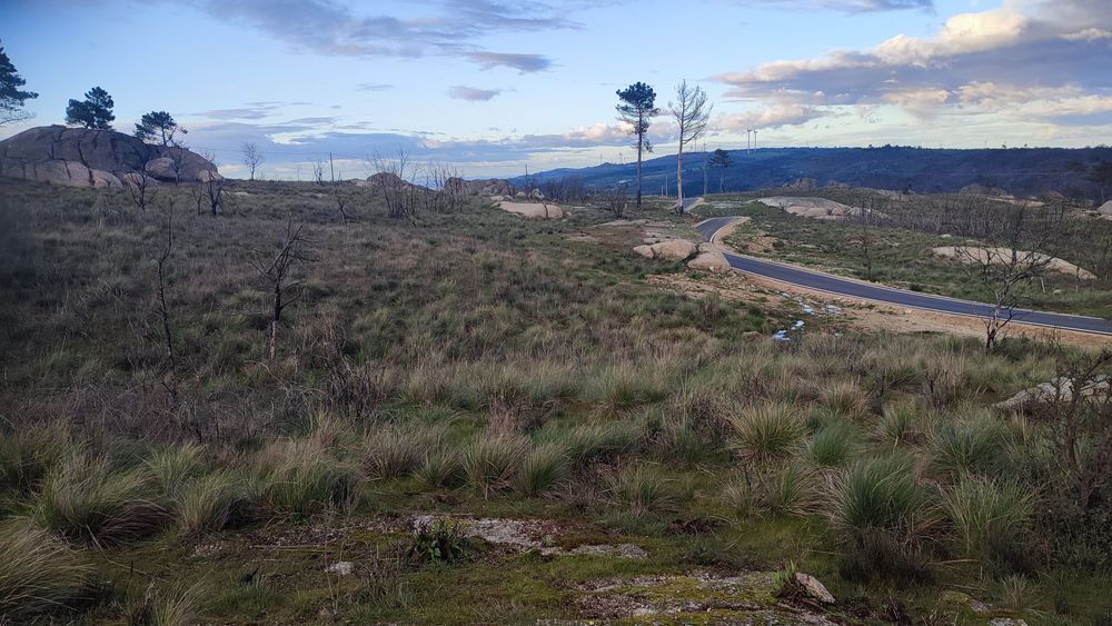 Terreno em Alvendre, Guarda