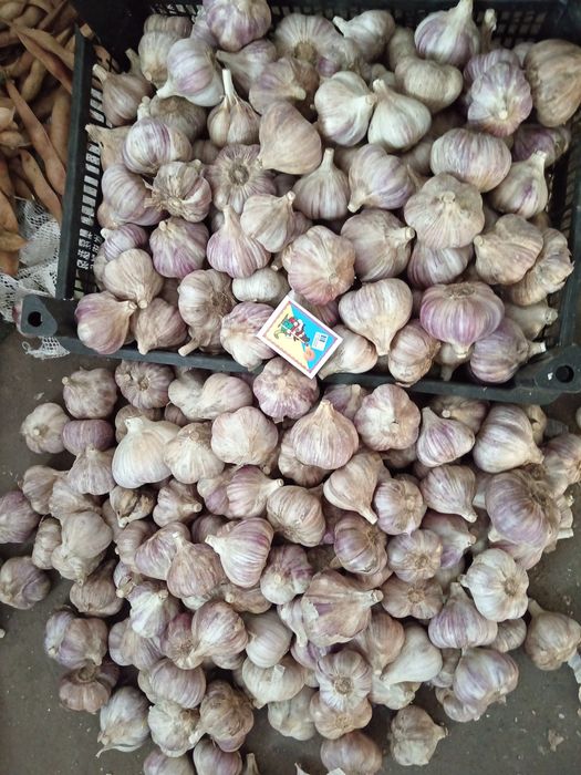 Продам зимовий часник із свого городу. смачний,  великі зубці
