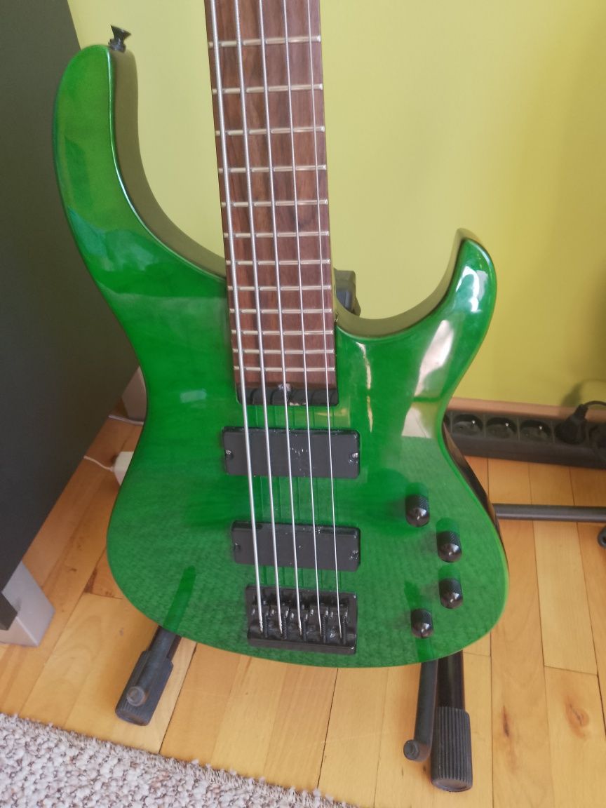 Gitara basowa Modulus Quantum 5 kopia