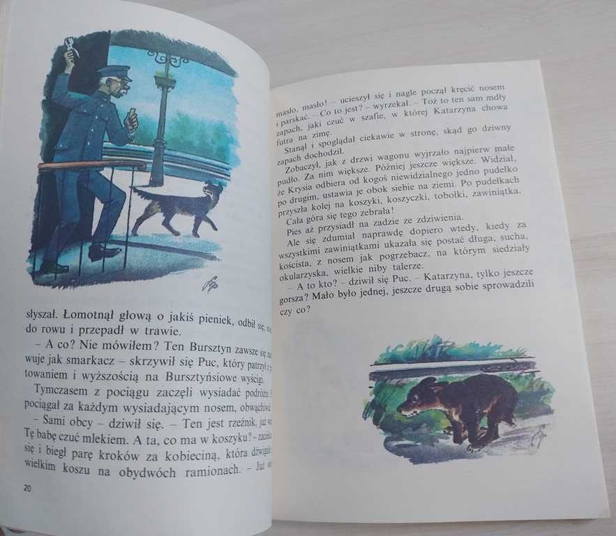 Puc Bursztyn i goście Jan Grabowski świetna książka dla dzieci