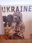 Obraz Ukraina walcząca