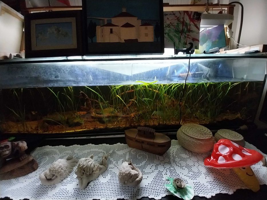 Aquário grande 180 cm - 450 lt