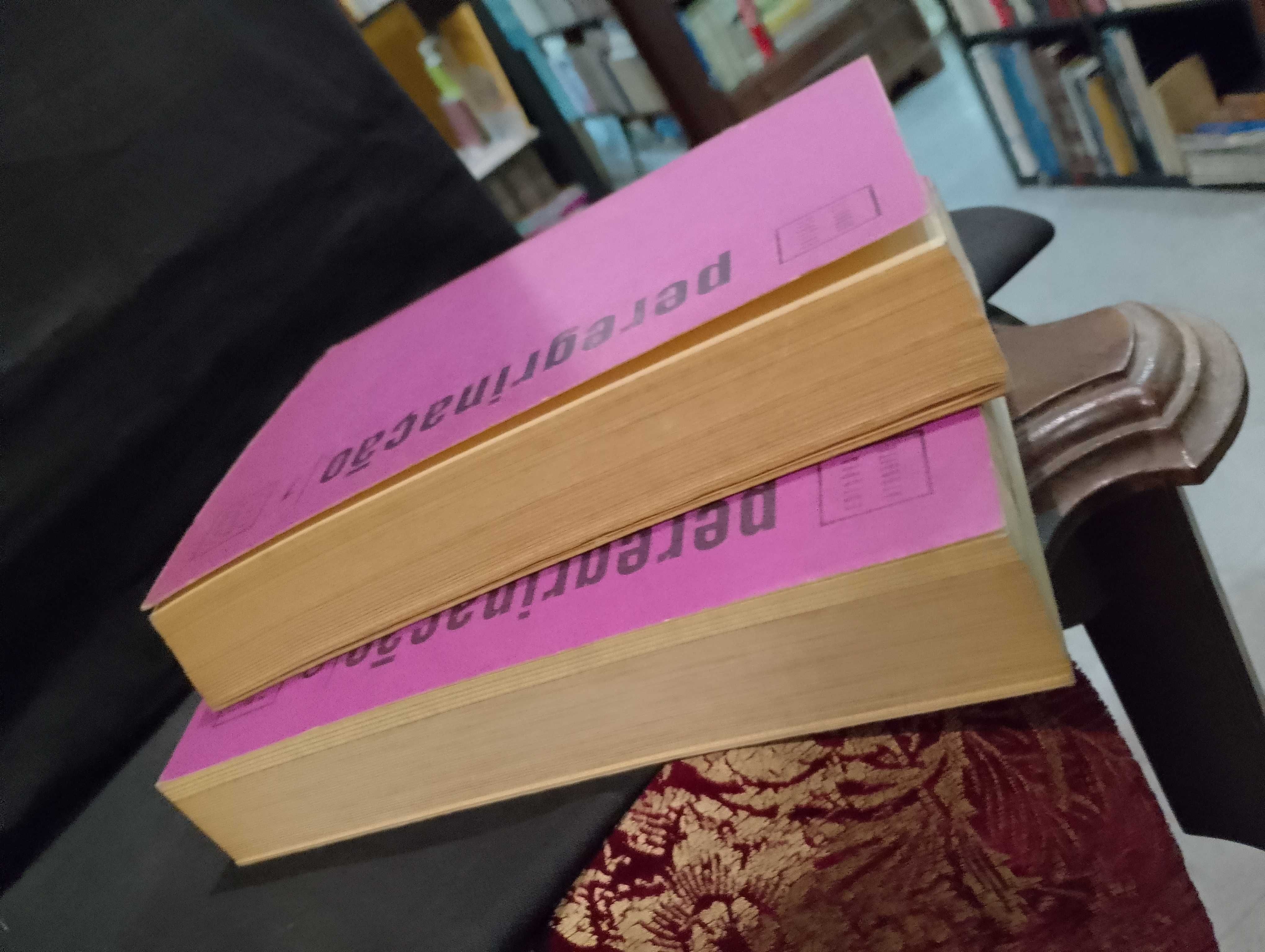 Peregrinação - Fernão Mendes Pinto (II Volumes)