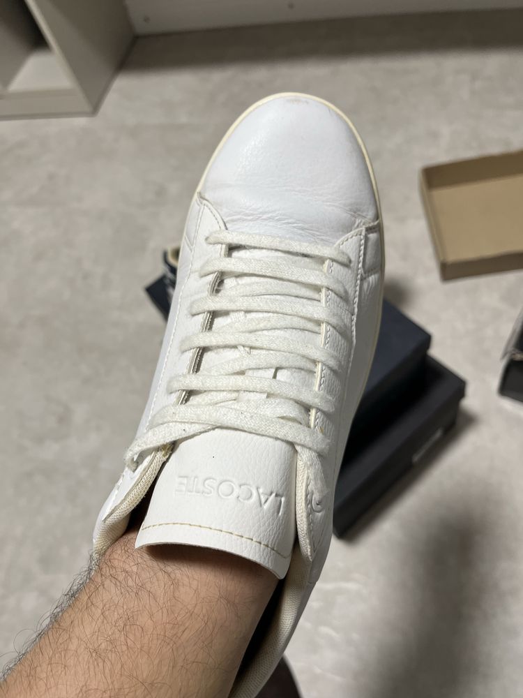 Кросівки Lacoste оригінал