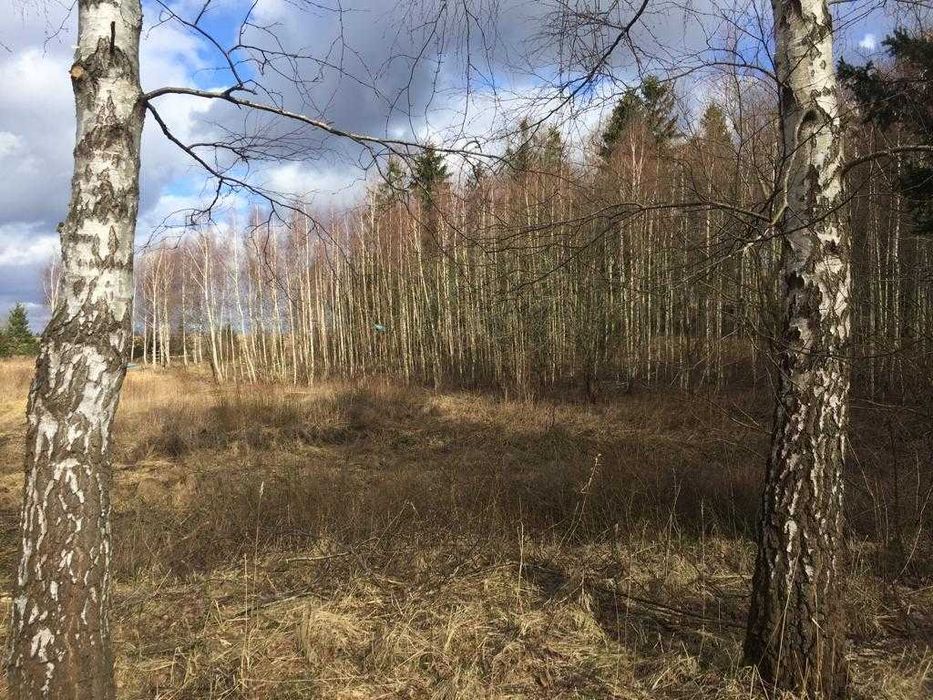 Sprzedam działkę w m.Trygort koło Węgorzewa