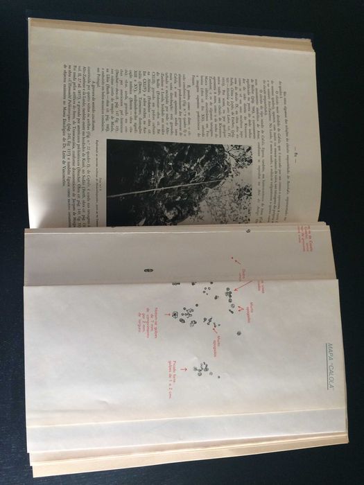 LIVRO REDINHA, José. «As gravuras rupestres do Alto Zambeze...