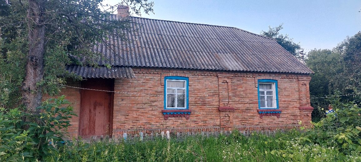 Будино, хата, дача в селі Малосілка