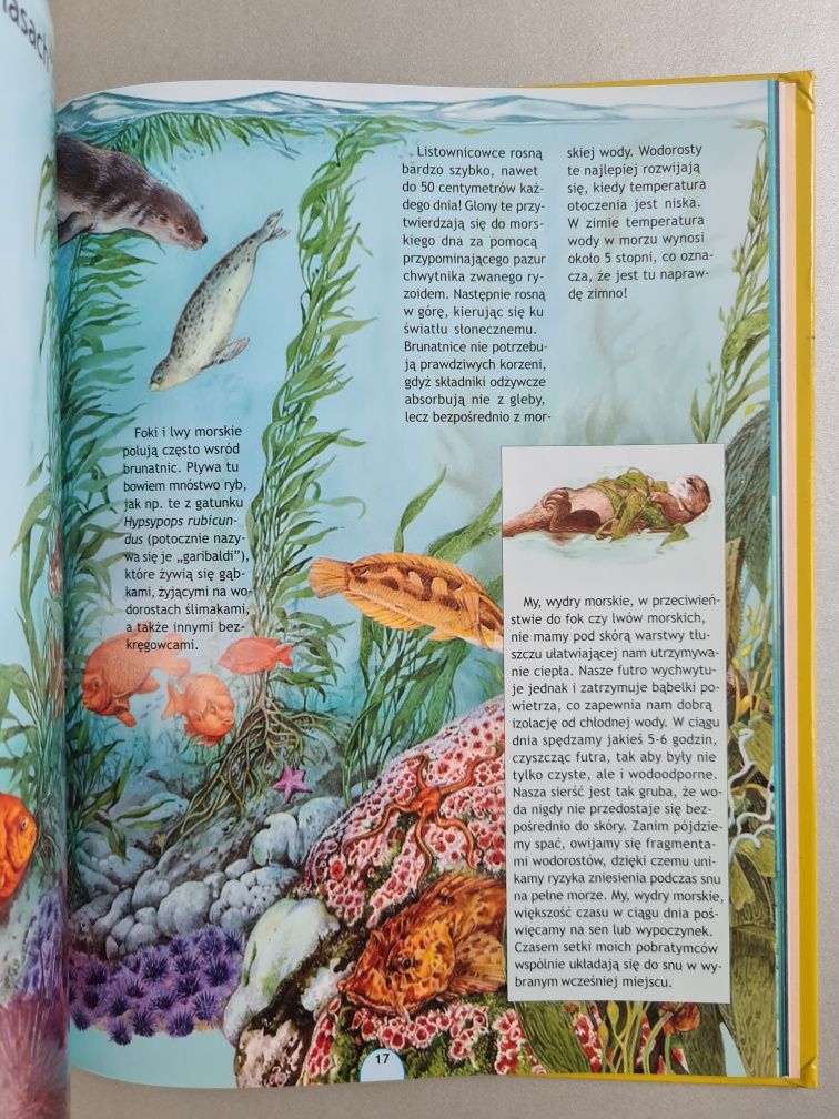 Zwierzęta mórz - Książka