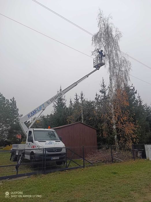 Wycinka i pielęgnacja drzew. Czyszczenie działek. Koszenie