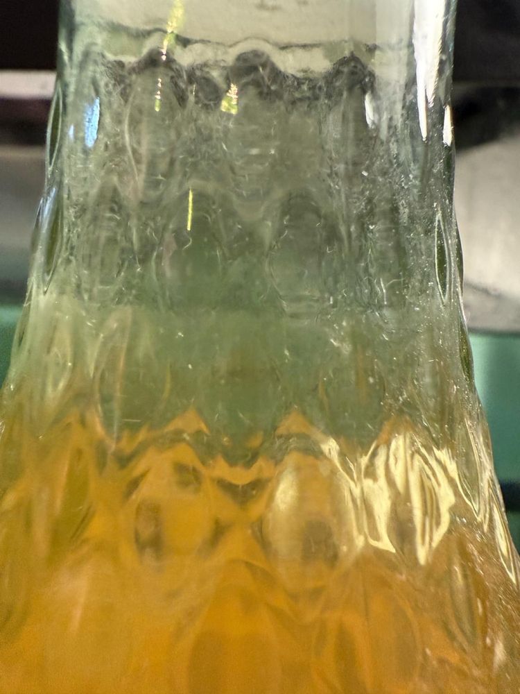 Alimento vivo enguias do vinagre , daphnia , grindal