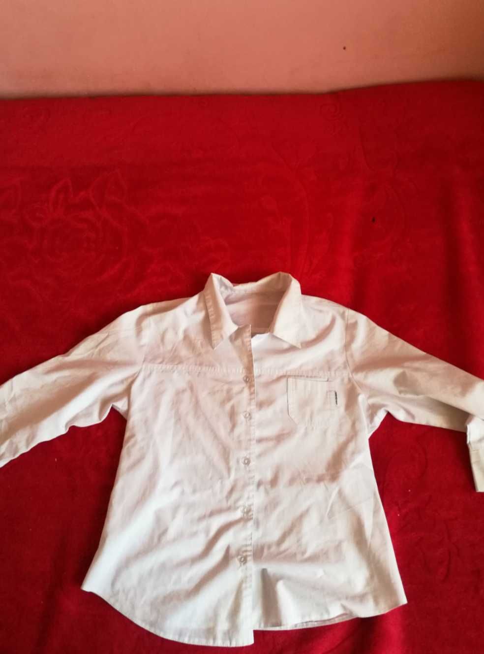 Biała elegancka koszula damska Cavaricci biurowa S M