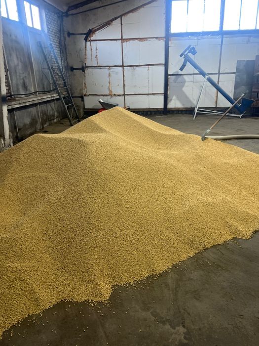 Соєва макуха відміна якість