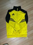 Casaco Amarelo adidas