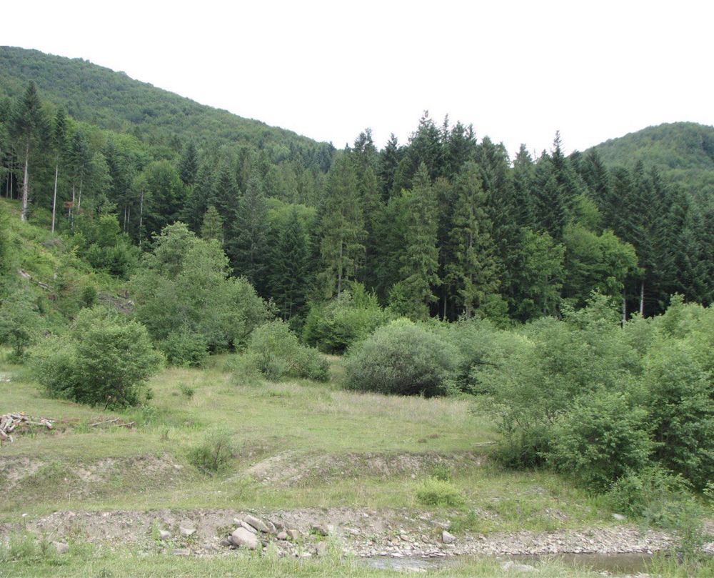 Земельна ділянка 10 сот Жденієво, Закарпатська область