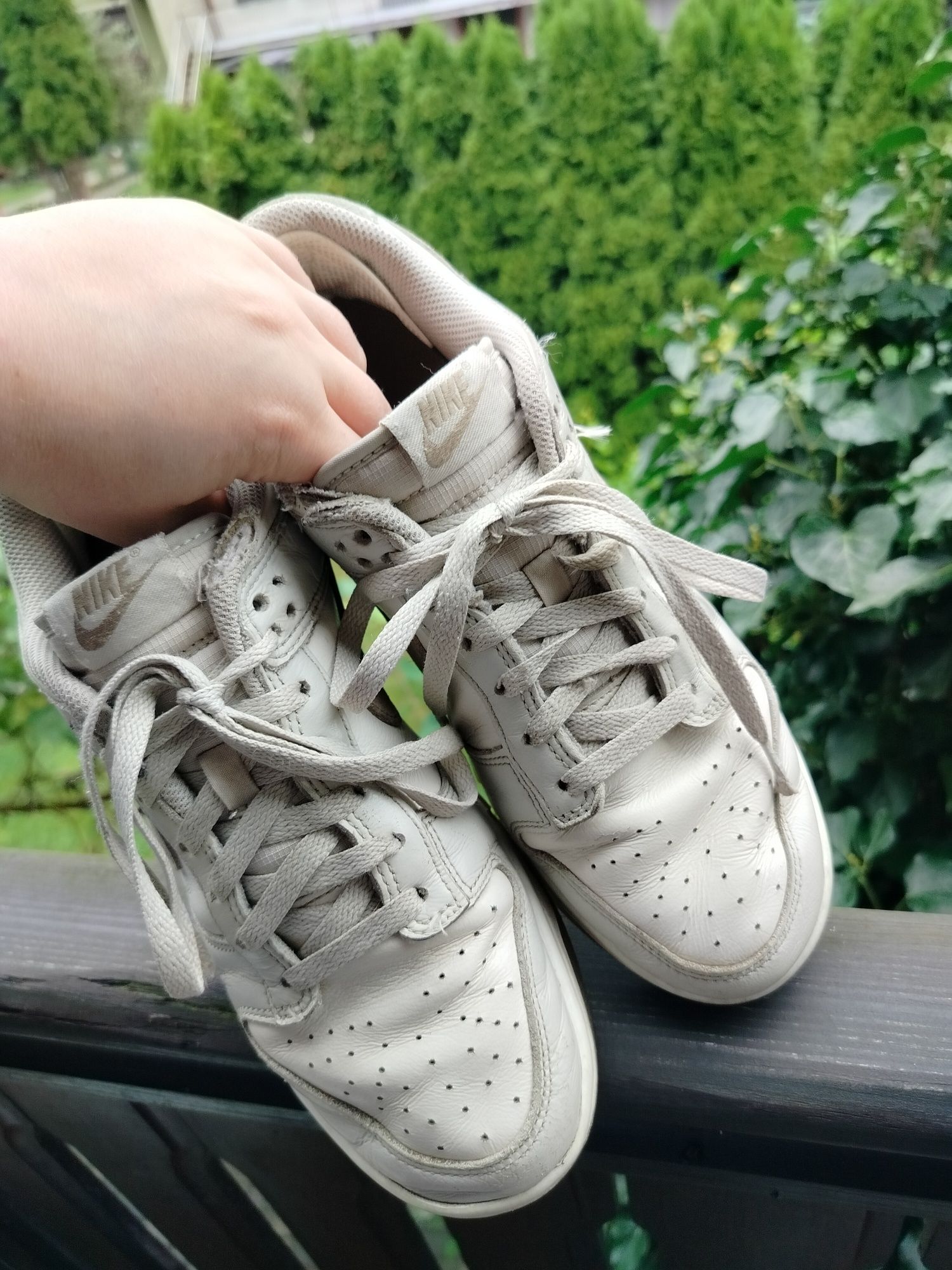 Buty Nike Dunk Low Retro 41