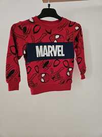 Bluza Marvel cool club 98 Spider-Man