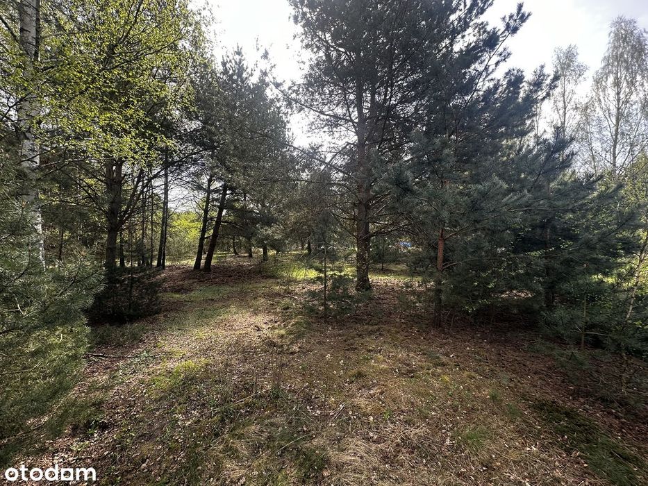 Działka 998 m² pod zabudowę rekreacyjną – Borówek, 45 min od Warszawy