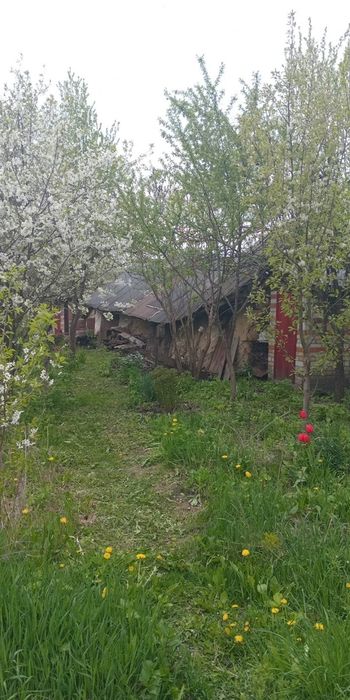 Продаю будинок хату з садом та огородом
