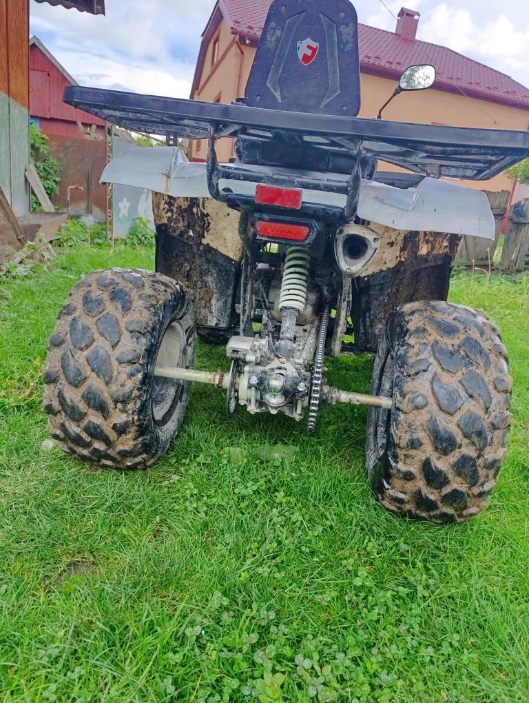 Forte braves 200