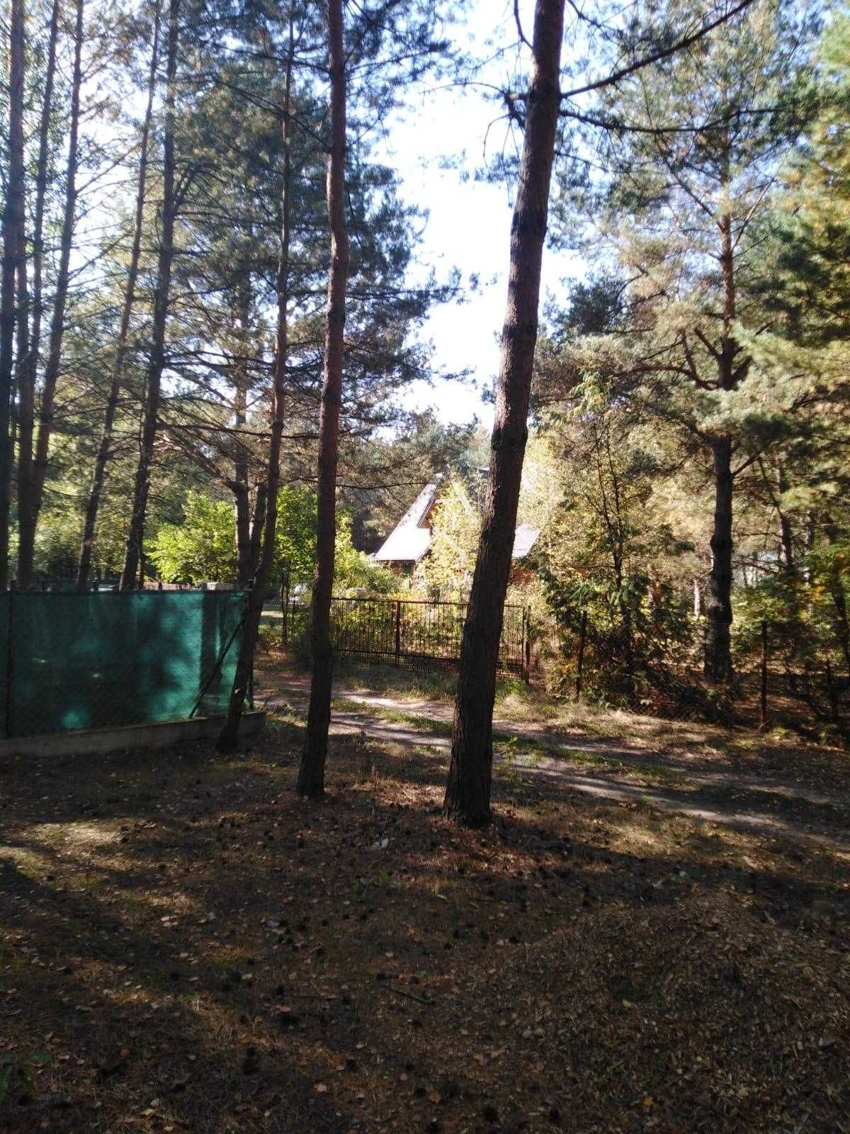 Sprzedam działkę 1700m2 w Basinowie