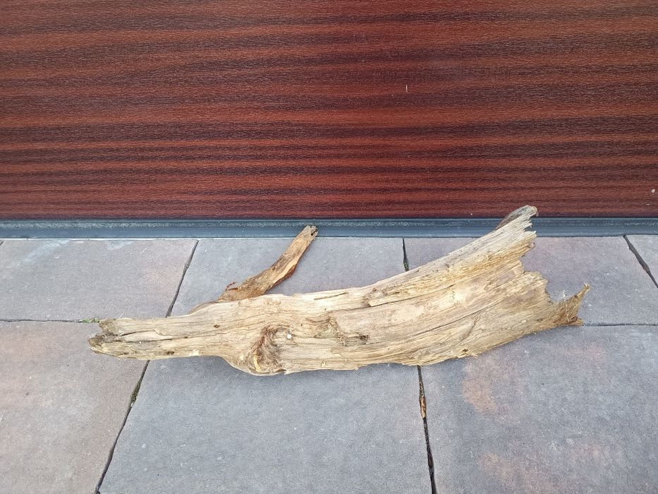 Średni, naturalny konar/kłoda do terrarium