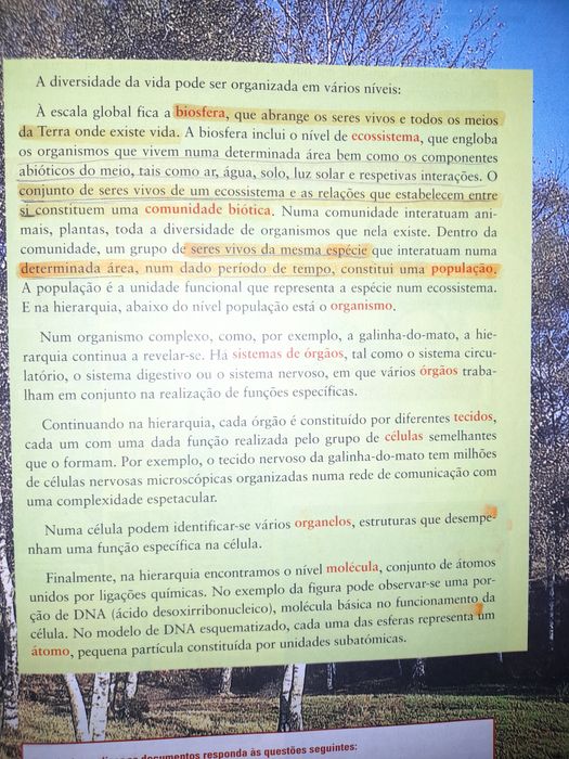 Biologia e Geologia 10° ano