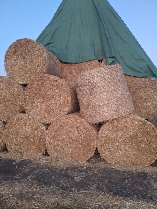 Słoma  sucha 125x120