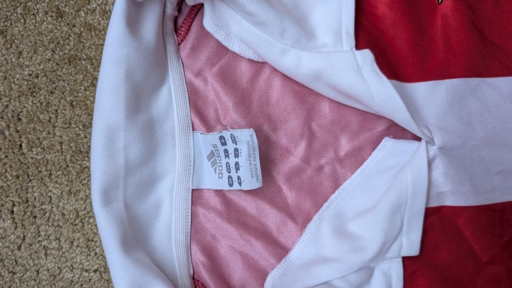 Camisola Benfica Centenário