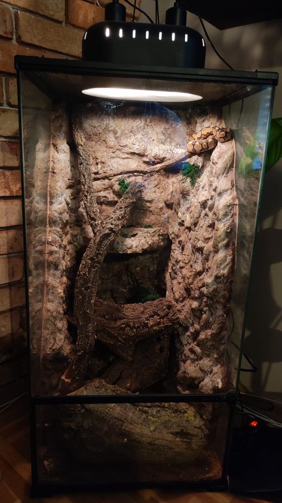Terrarium szklane IG REPTI z wyposażeniem dla kameleona , gekona  itp