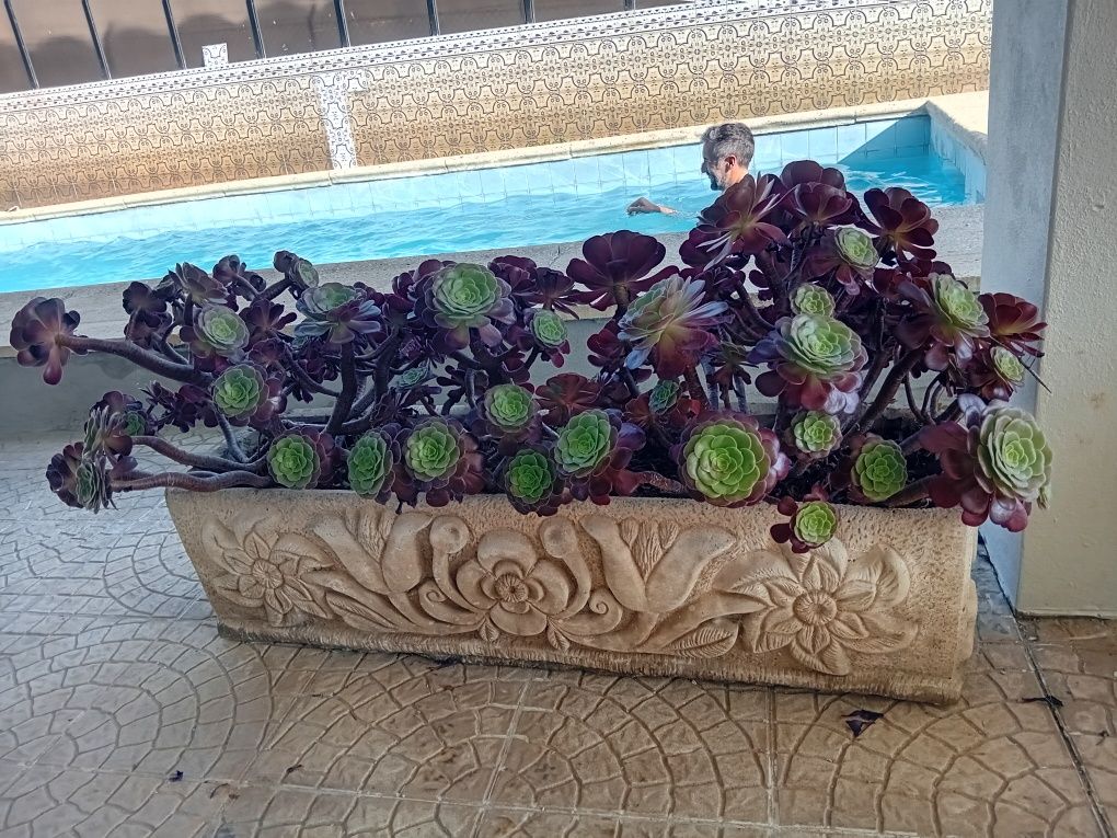 Floreiras de Pedra