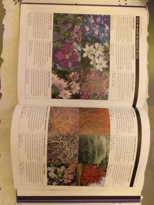 LIVRO " Aprender Jardinagem. PODA FÁCIL