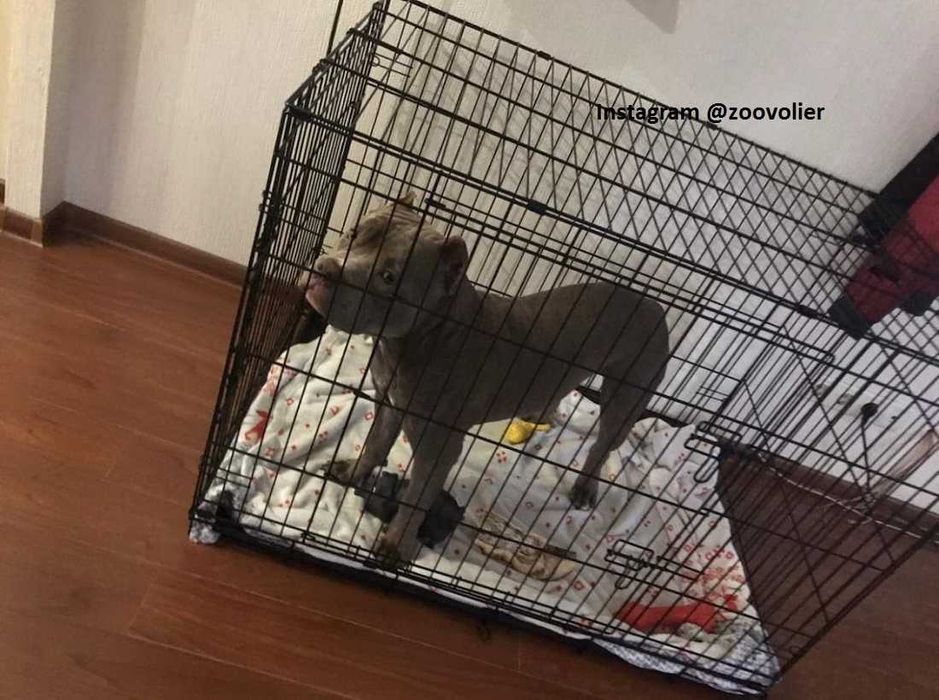 Клетка клітка S,M,L,XL, XXL переноска для щенков собак кошки птиц