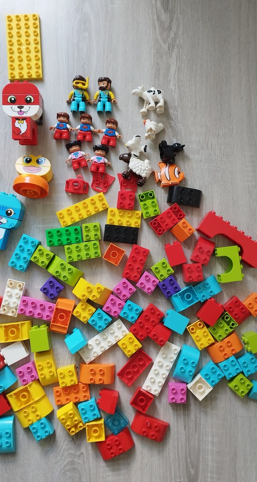 LEGO duplo klocki. ok.200sztuk 6 zestawów
