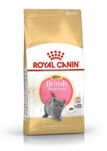 Royal Canin Kitten British Shorthair 2кг