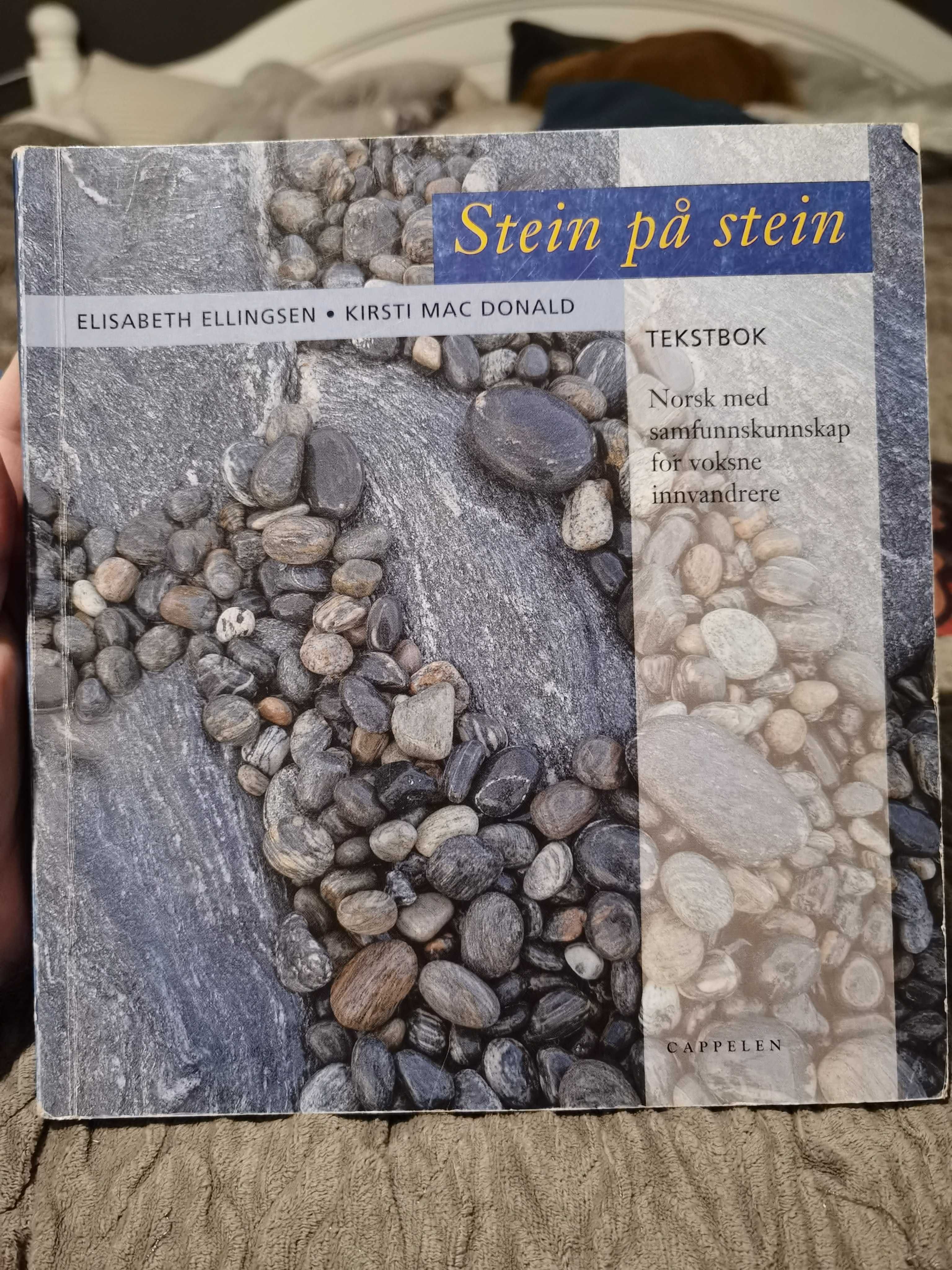 Stein på stein podręcznik do nauki norweskiego