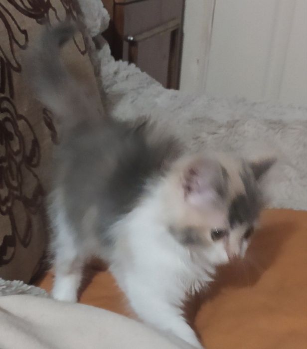 Вона ще зовсім малеча, але вже вміє чекати…