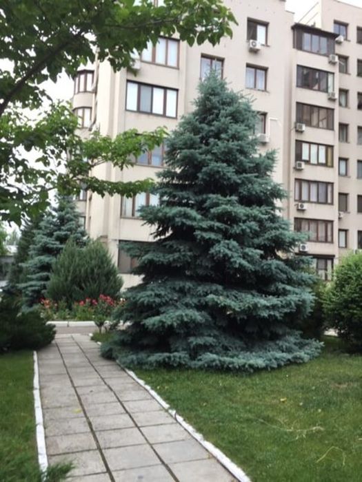 3-комнатная квартира на проспекте Шевченко, парк Победы