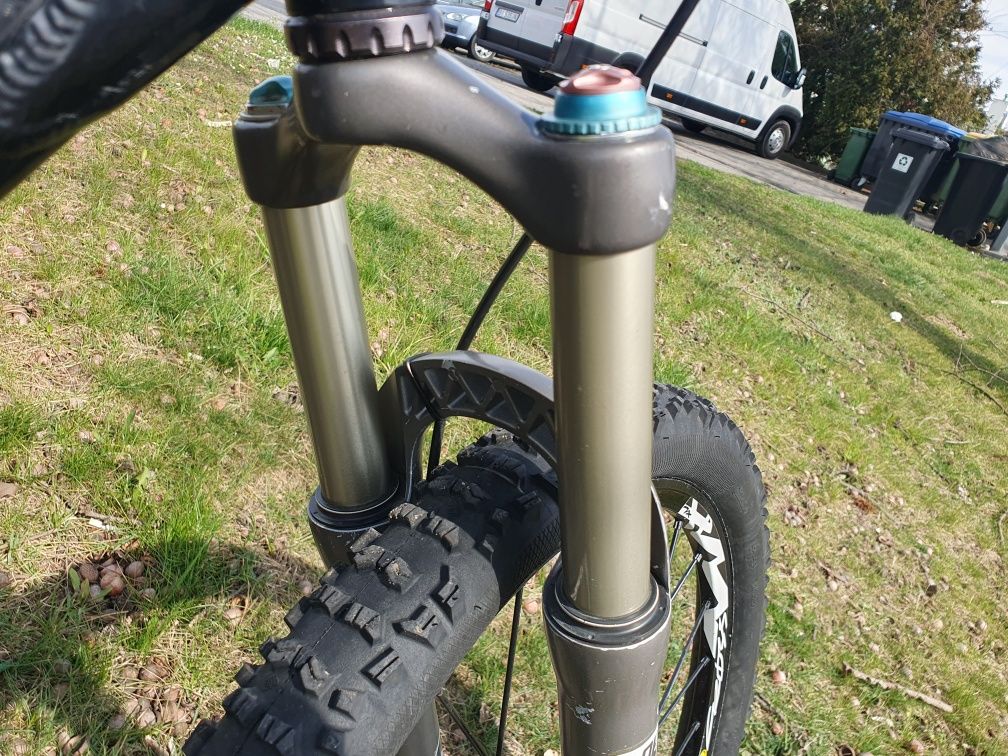 Santa Cruz Chameleon