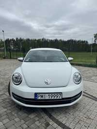 Volkswagen Beetle vw beetle