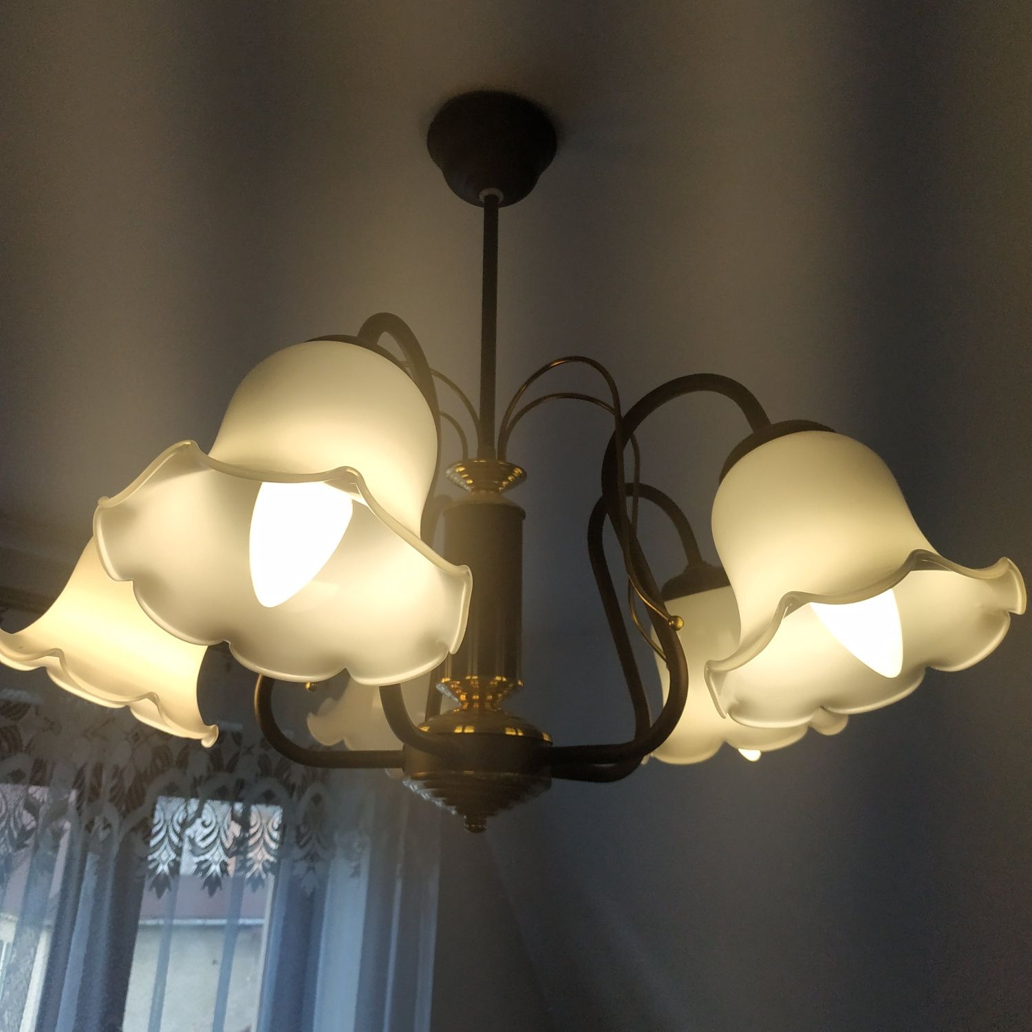 Lampa sufitowa wisząca 5 kloszy