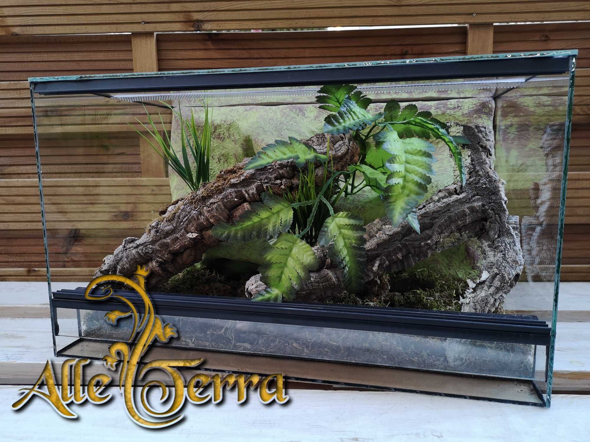 Terrarium szklane leśne AlleTerra